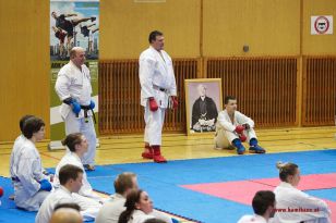 seibukan_Lehrgang_mit_Rafael_Aghayev_2013_037.jpg