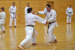 seibukan_OEKB_Danpruefung_2011_051.jpg
