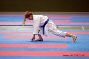 seibukan_OOE_Landesmeisterschaft_Lambach_2016_114.jpg