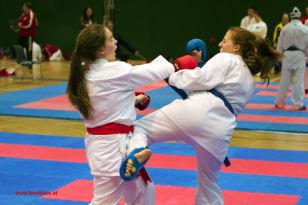 seibukan_Styrian_Open_Fuerstenfeld_2013_077.jpg