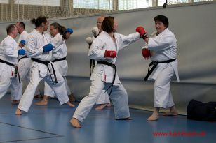 seibukan_Trainerfortbildung_2016_098.jpg