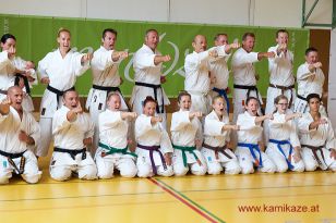 seibukan7_Internationales_Kamikaze_Sommercamp_2015_266.jpg