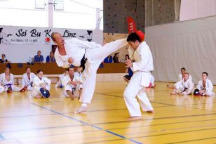 seibukan_2_Intern_Kamikaze_Sommercamp_2010_253.jpg