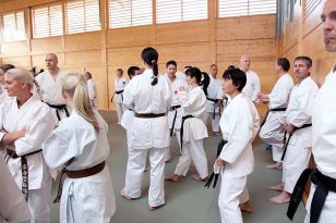 seibukan_2_OEKB_Tag_Trainerfortbildung_2010_023.jpg