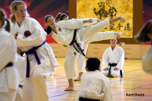 seibukan_3_KamIkaze_Sommercamp_2011_237.jpg