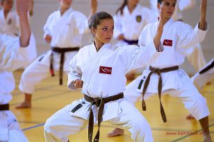 seibukan_5_Intern_Kamikaze_Sommercamp_Neuhofen_2013_216.jpg