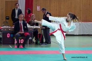 seibukan_Askoe_Bundesmeisterschaft_Wien_2013_011.jpg