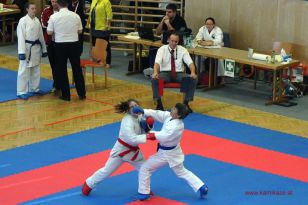 seibukan_Goju_und_Wado_OEM_Brunn_am_Gebirge_2013_041.jpg