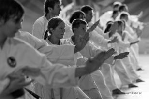 seibukan_KAMIKAZE_Sommercamp_Neuhofen_Krems_2012_235.jpg