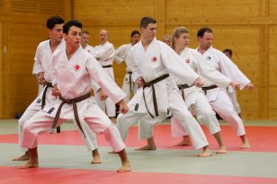 seibukan_Kyu_u_Dan_Pruefung_OOELV_im_Budokan_2014_014.jpg