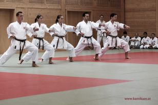 seibukan_Kyu_und_Dan_Pruefung_2014_067.jpg