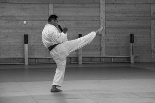 seibukan_Kyu_und_Dan_Pruefung_des_OKB_im_Budokan_2013_083.jpg