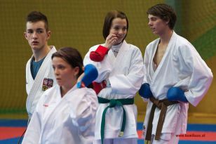 seibukan_Lehrgang_mit_Rafael_Aghayev_2013_034.jpg