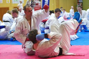 seibukan_Lehrgang_mit_Rafael_Aghayev_2013_039.jpg