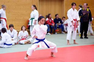 seibukan_OOE_Junioren_Landesmeisterschaft_Wels_2009_019.jpg
