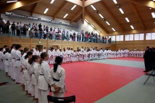 seibukan_OOE_Landesmeisterschaft_2010_003.jpg