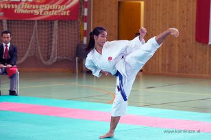 seibukan_Oesterr_Nachwuchsmeiterschsft_in_Wien_2013_020.jpg