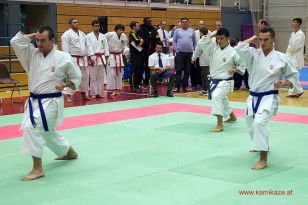 seibukan_WADO_KAI_Europameisterschaft_2012_203.jpg