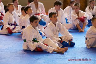 seibukan7_Internationales_Kamikaze_Sommercamp_2015_021.jpg