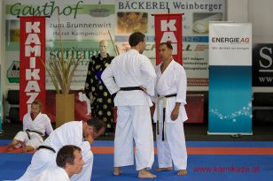 seibukan7_Internationales_Kamikaze_Sommercamp_2015_238.jpg
