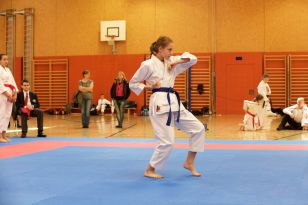 seibukan_Askoe_Landesmeisterschaft_in_Linz_Kirchdorf_2015_088.jpg