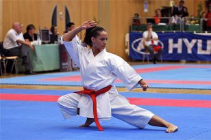 seibukan_Austrian_Junior_Open_2010_017.jpg