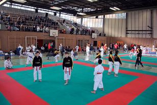 seibukan_Intern_Vienna_Open_2012_006.jpg