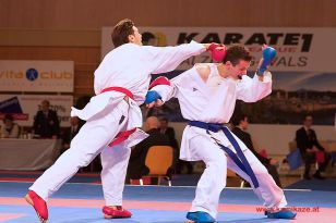 seibukan_Karate1_Premier_League_and_Youth_World Cup_Salzburg_2013_189.jpg