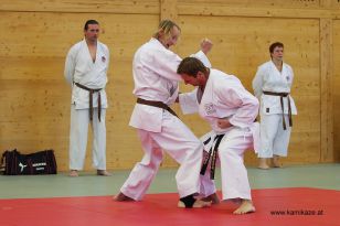 seibukan_Kyu_und_Dan_Pruefung_2013_113.jpg