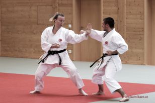 seibukan_Kyu_und_Dan_Pruefung_2014_170.jpg