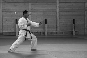 seibukan_Kyu_und_Dan_Pruefung_des_OKB_im_Budokan_2013_082.jpg