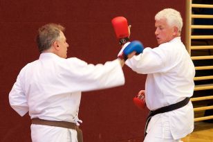 seibukan_OEKB_Tag_Wels_2011_029.jpg