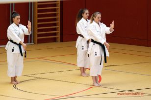 seibukan_OKB_Tag_2014_060.jpg