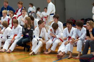 seibukan_OOE_LM_U10_U21_Senioren_Linz_Auhof_2012_072.jpg