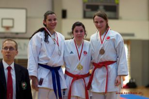 seibukan_OOE_LM_U10_U21_Senioren_Linz_Auhof_2012_151.jpg