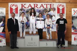 seibukan_OOE_Nachwuchs_und_Landesmeisterschaft_2013_117.jpg