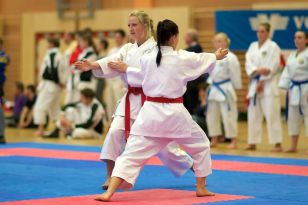 seibukan_Senioren_Staatsmeisterschaft_2011_105.jpg
