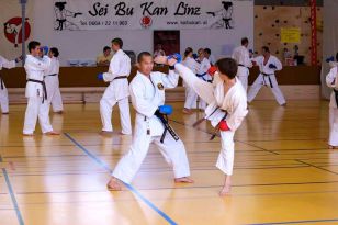seibukan_2_Intern_Kamikaze_Sommercamp_2010_055.jpg