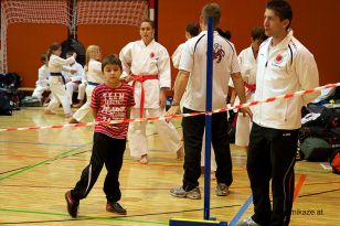 seibukan_Askoe_Bundesmeisterschaft_Kirchdorf_2012_059.jpg