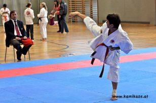 seibukan_Askoe_Landesmeisterschaft_Linz_Auhof_2011_040.jpg