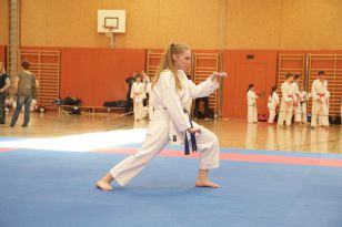 seibukan_Askoe_Landesmeisterschaft_in_Linz_Kirchdorf_2015_096.jpg