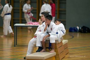 seibukan_Askoe_OOEKarate_Landesmeisterschaft_2013_037.jpg
