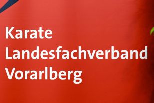 seibukan_Austrian_Champions_Cup_2011_002.jpg