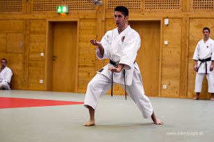 seibukan_Dan_Pruefung_im_Budokan_2014_031.jpg