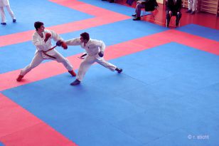 seibukan_Eurocup_Mittersill_2014_017.jpg
