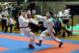 seibukan_Intern_Lions_Cup_Lustenau_2013_046.jpg