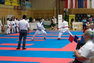 seibukan_Junior_Open_2016_091.jpg
