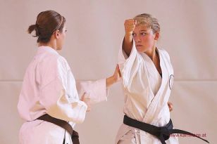 seibukan_KAMIKAZE_Sommercamp_Neuhofen_Krems_2012_120.jpg