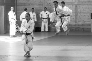 seibukan_Kyu_und_Dan_Pruefung_des_OKB_im_Budokan_2013_034.jpg