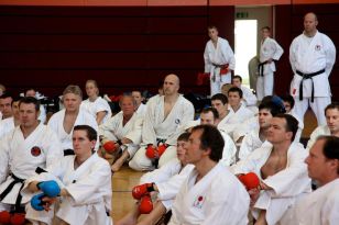 seibukan_OEKB_Tag_Wels_2011_079.jpg